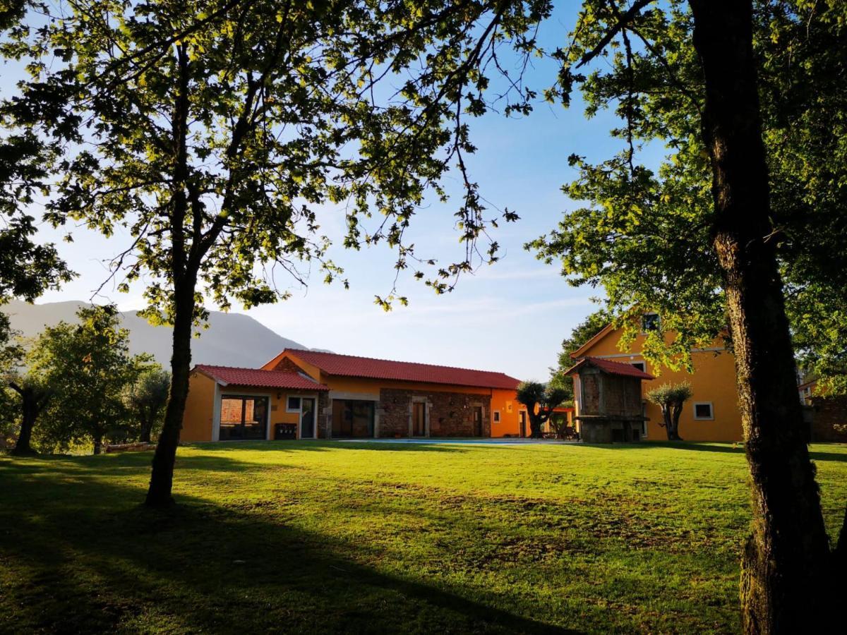 Nogueira  Casas Do Prazo - Turismo Rural מראה חיצוני תמונה